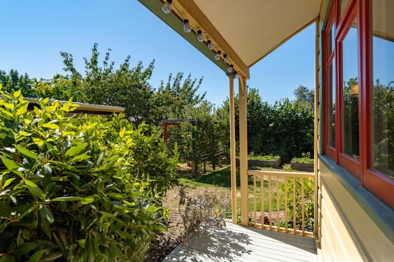 Shy Cottage And Studio Greytown Exteriér fotografie