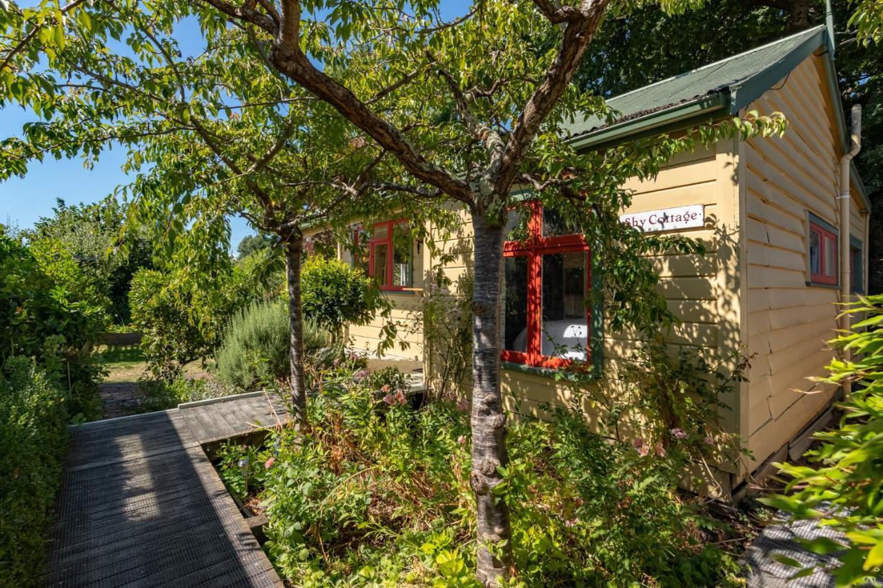 Shy Cottage And Studio Greytown Exteriér fotografie