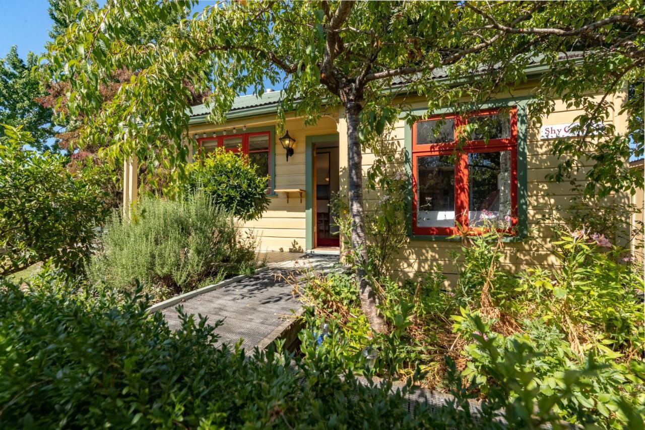 Shy Cottage And Studio Greytown Exteriér fotografie