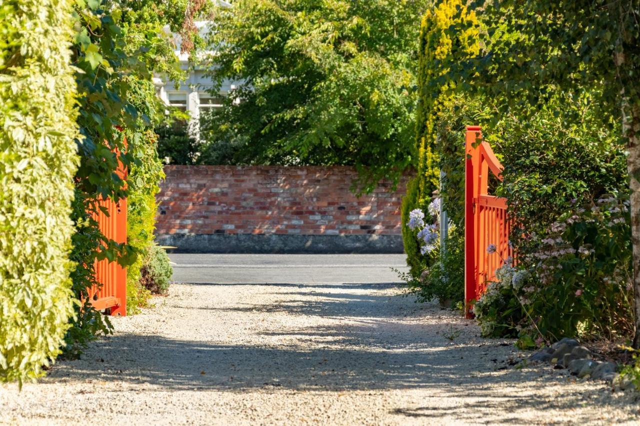 Shy Cottage And Studio Greytown Exteriér fotografie