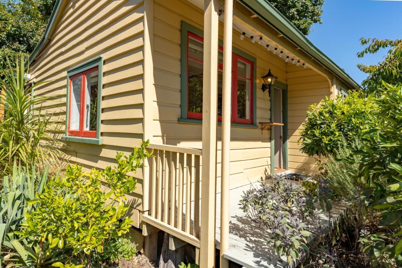 Shy Cottage And Studio Greytown Exteriér fotografie