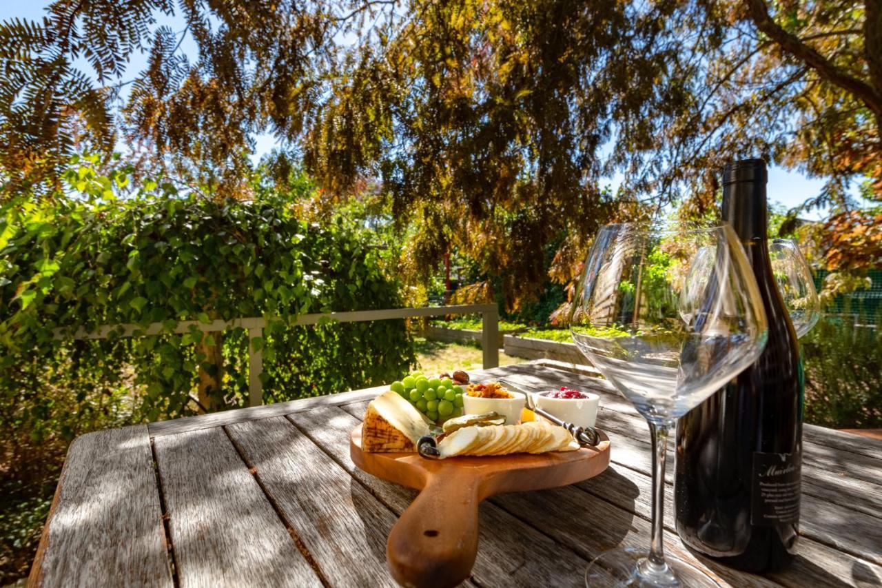Shy Cottage And Studio Greytown Exteriér fotografie